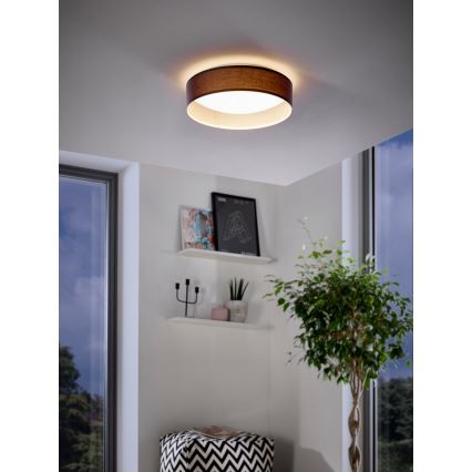 Eglo LED Stropna svjetiljka LED/11W/230V