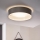 Eglo 31623 - LED stropna svjetiljka MASERLO LED/16W/230V 3000K Ø 40,5 cm siva/srebrna