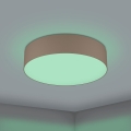 Eglo 31767 - LED RGBW prigušivo stropno svjetlo ROMAO-Z LED/35W/230V 2700-6500K Ø 57 cm taupe