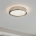 Eglo 32047 - LED stropna svjetiljka AREZZO 2 LED/17,92W/230V