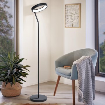 Eglo 32327 - LED RGBW podna lampa MARGHERA-C s mogućnošću prigušivanja LED/15,5W/230V 2700-6500K crna
