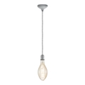 Eglo 32534 - Luster na sajli YORTH 1xE27/60W/230V