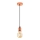 Eglo 32541 - Luster na sajli YORTH 1xE27/60W/230V