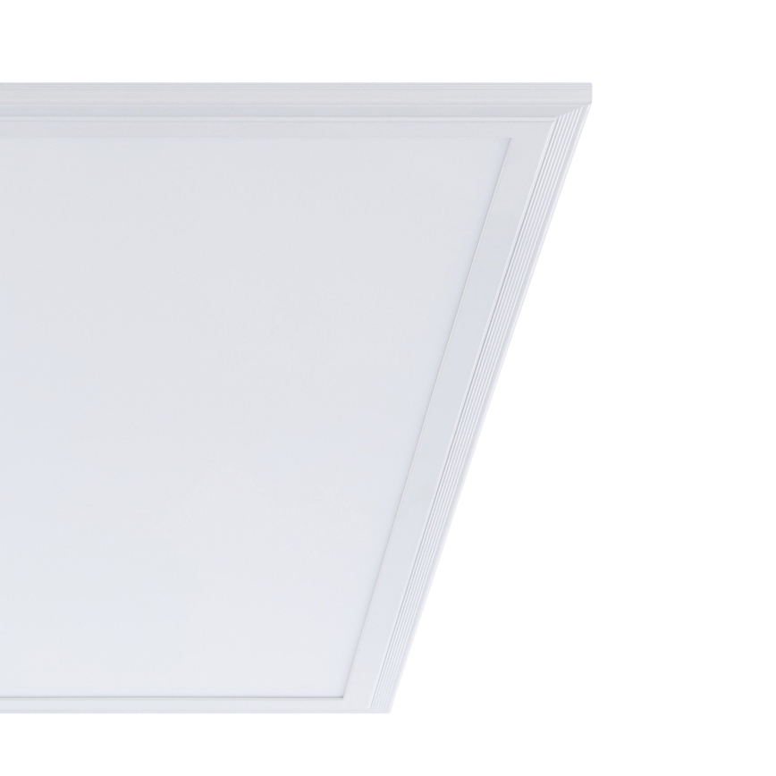 Eglo - LED Stropna svjetiljka LED/40W/230V