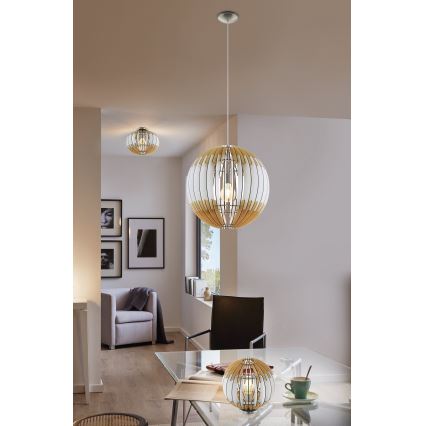 Eglo 32844 - Stropna svjetiljka OLMERO 1 1xE27/60W/230V