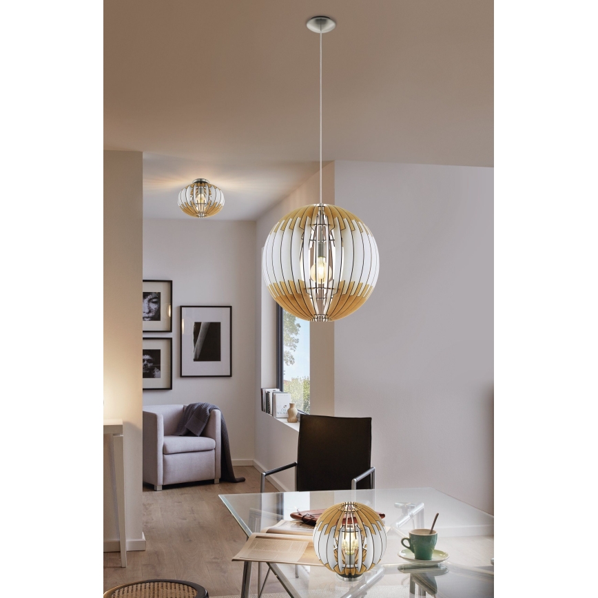 Eglo 32844 - Stropna svjetiljka OLMERO 1 1xE27/60W/230V