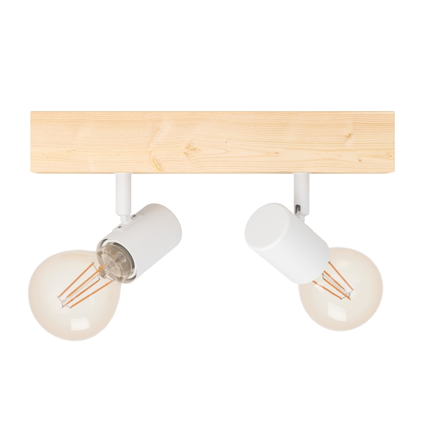Eglo - Stropna svjetiljka TOWNSHEND 2xE27/60W/230V