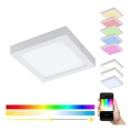 Eglo 33316 - LED RGBW stropno svjetlo FUEVA-C s mogućnošću prigušivanja LED/15,6W/230V 2700-6500K 22,5x22,5 cm bijelo