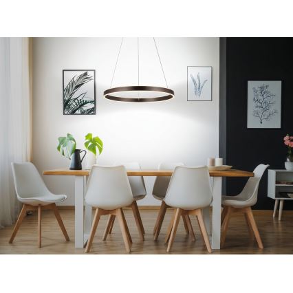 Eglo 33483 - LED luster na sajli ALCAZABA 2xLED/18W/230V 3000K prom. 55 cm brončana
