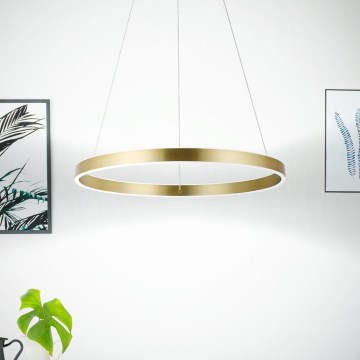 Eglo 33484 - LED luster na sajli ALCAZABA 2xLED/18W/230V 3000K Ø 55 cm zlatna