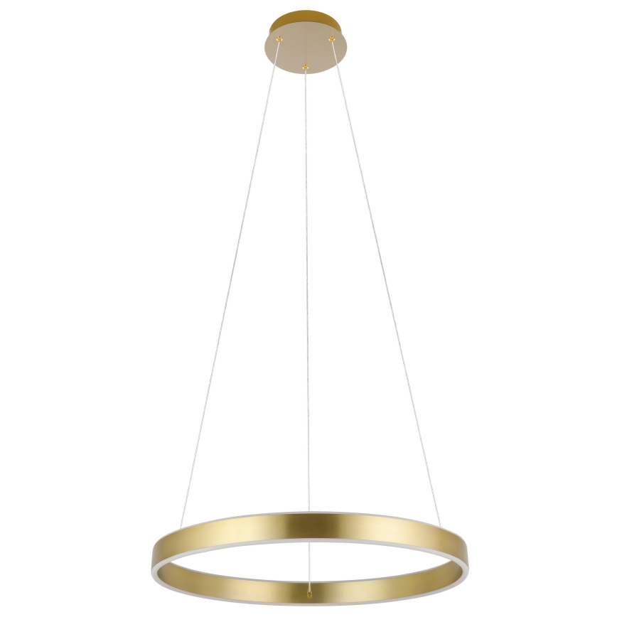 Eglo 33484 - LED luster na sajli ALCAZABA 2xLED/18W/230V 3000K Ø 55 cm zlatna