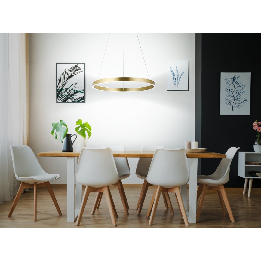 Eglo 33484 - LED luster na sajli ALCAZABA 2xLED/18W/230V 3000K Ø 55 cm zlatna