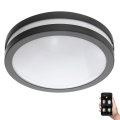 Eglo 33571 - LED Prigušiva svjetiljka za kupaonicu LOCANA-C LED/14W/230V IP44 crna