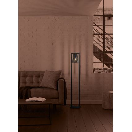 Eglo - Podna lampa 1xE27/40W/230V crna