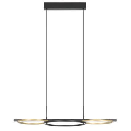 Eglo - LED Prigušivi luster na sajli 2xLED/12,5W/230V + LED/15,5W 3000K crna