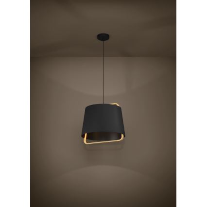 Eglo - Luster na sajli 1xE27/40W/230V crna
