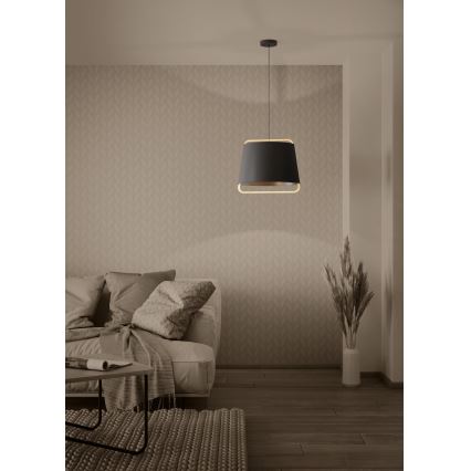 Eglo - Luster na sajli 1xE27/40W/230V crna