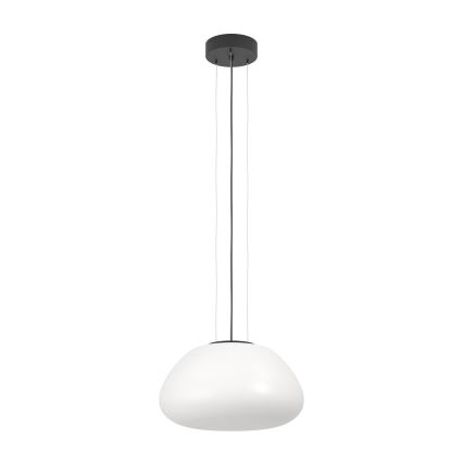 Eglo - Luster na sajli 1xE27/40W/230V crna