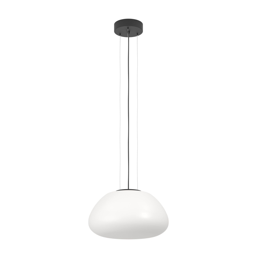 Eglo - Luster na sajli 1xE27/40W/230V crna