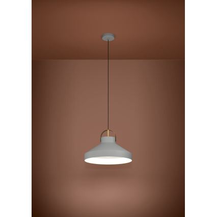 Eglo - Luster na sajli 1xE27/40W/230V siva