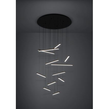 Eglo - LED Prigušivi luster na sajli 12xLED/8,4W/230V 3000K crna