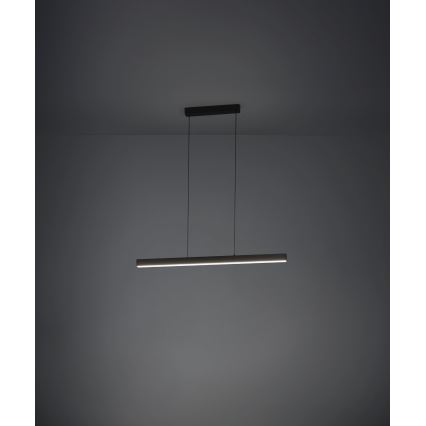 Eglo - LED Prigušivi luster na sajli LED/20W/230V 3000K crna
