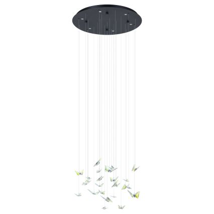 Eglo - LED luster na sajli s mogućnošću prigušivanja 6xLED/4,2W/230V crna/prozirna
