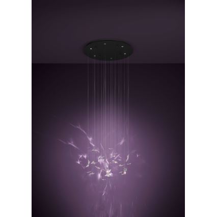 Eglo - LED luster na sajli s mogućnošću prigušivanja 6xLED/4,2W/230V crna/prozirna