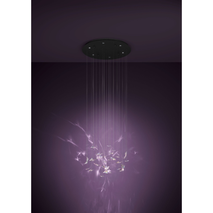 Eglo - LED luster na sajli s mogućnošću prigušivanja 6xLED/4,2W/230V crna/prozirna