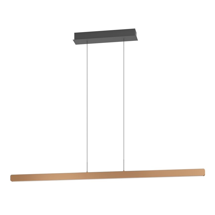 Eglo Stars of Light - LED luster s prigušivanjem na sajli LED/30W/230V 2200-6500K zlatna + daljinski upravljač