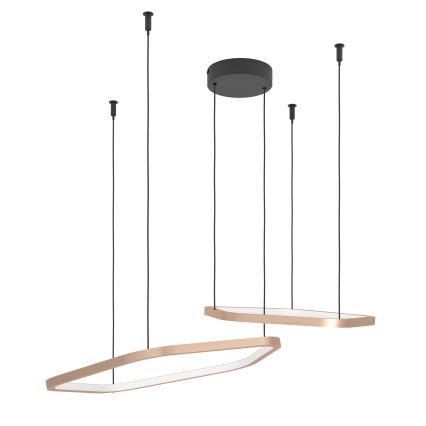 Eglo - LED luster na sajli s podesivom svjetlinom LED/30W/230V 2200-6500K mesing + daljinski upravljač