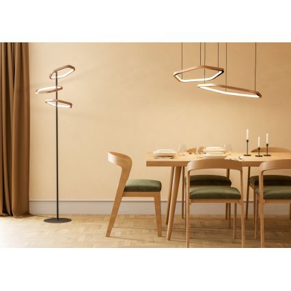 Eglo - LED luster na sajli s podesivom svjetlinom LED/30W/230V 2200-6500K mesing + daljinski upravljač