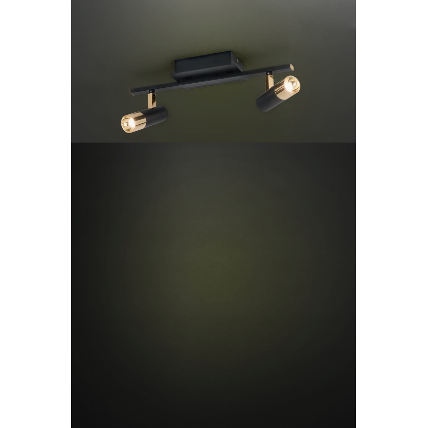 Eglo - LED reflektorska svjetiljka 2xLED/5W/230V/12V