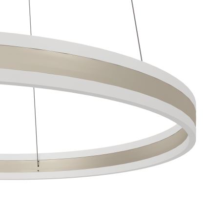 Eglo - LED Prigušivi luster na sajli LED/78W/230V