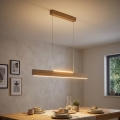 Eglo 39344 - LED luster na sajli CLIMENE LED/17W/230V + LED/4,2W hrast