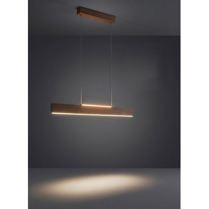 Eglo - LED luster na sajli LED/17W/230V + LED/4,2W orah