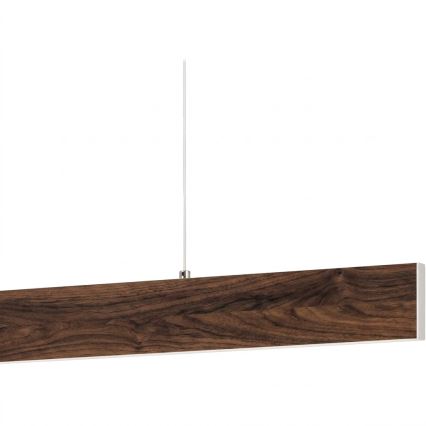 Eglo - LED luster na sajli LED/17W/230V + LED/4,2W orah