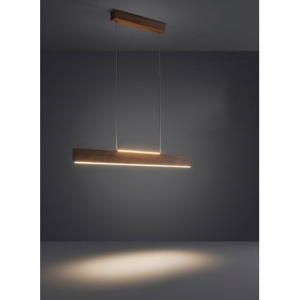 Eglo - LED luster na sajli s mogućnošću prigušivanja LED/21W/230V + LED/8,4W orah