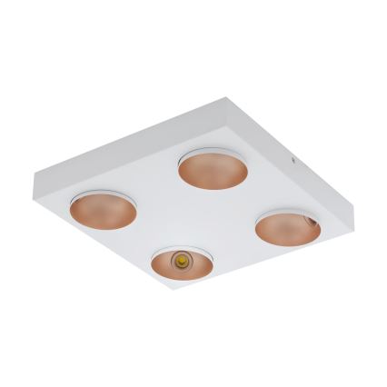 Eglo - LED stropna svjetiljka s prigušivanjem 4xLED/3,3W/230V