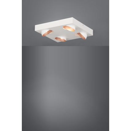 Eglo - LED stropna svjetiljka s prigušivanjem 4xLED/3,3W/230V