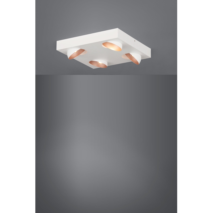 Eglo - LED stropna svjetiljka s prigušivanjem 4xLED/3,3W/230V