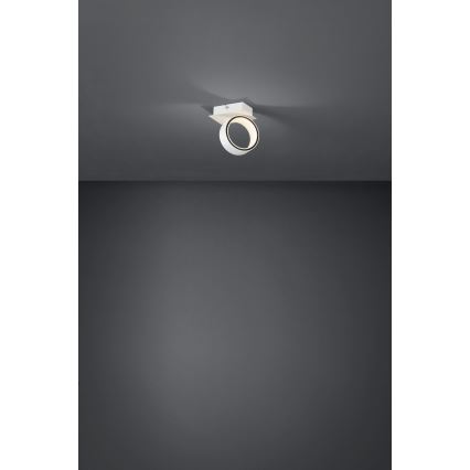 Eglo - LED Reflektorska svjetiljka LED/4,6W/230V 3000K
