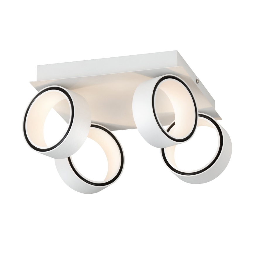 Eglo 39587 - LED Reflektorska svjetiljka ALBARIZA 4xLED/4,6W/230V