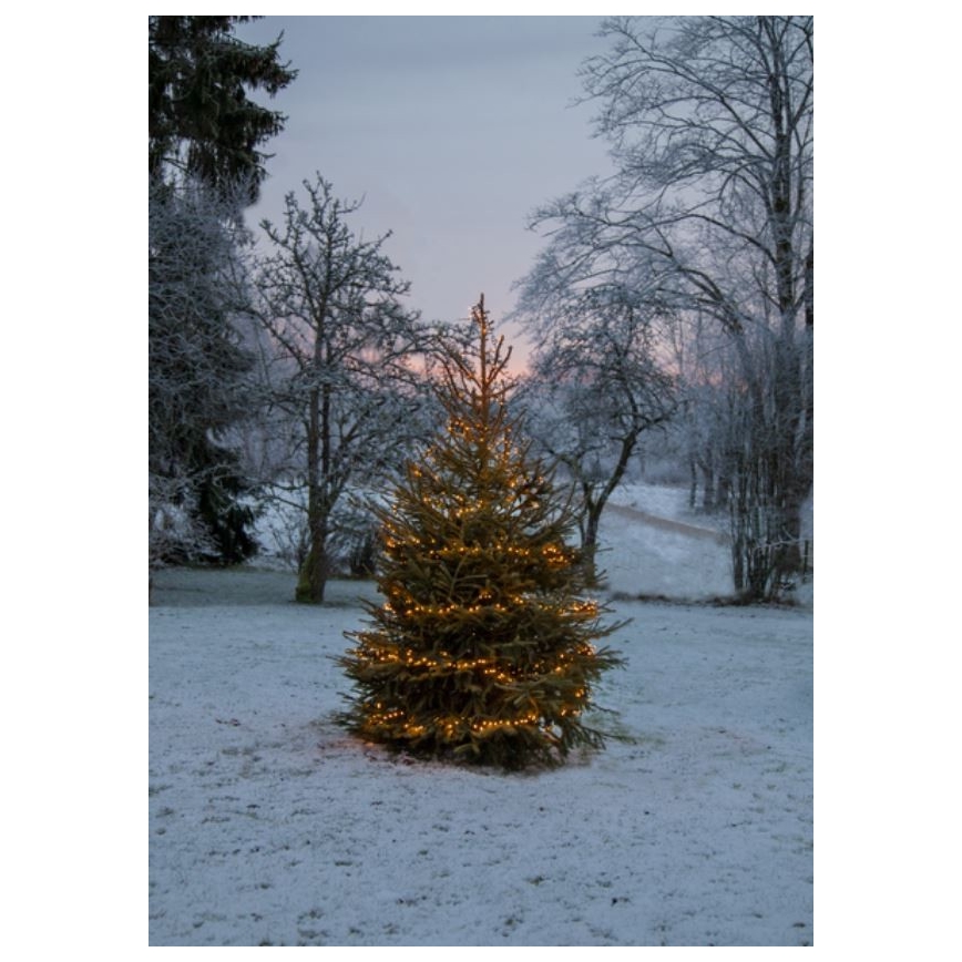 Eglo - LED Vanjske božićne lampice 1200xLED 24m IP44 topla bijela