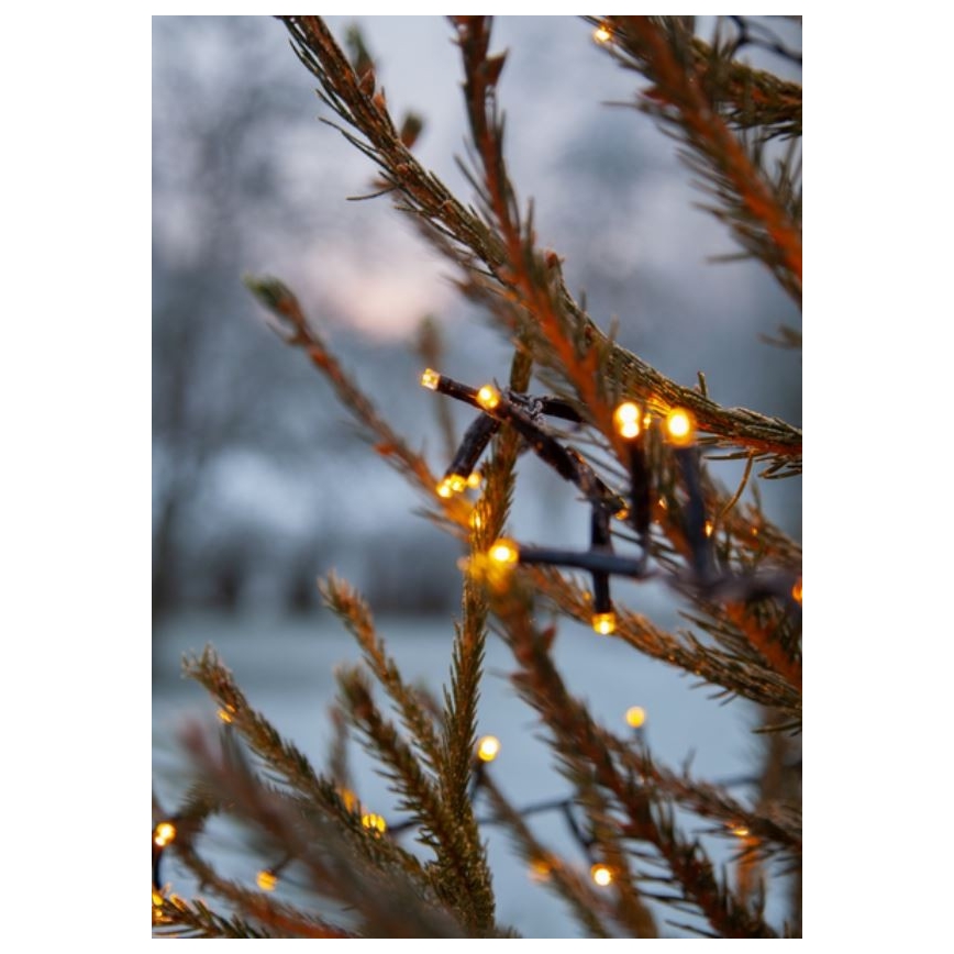 Eglo - LED vanjski lanac 1200xLED 29m IP44 topla bijela