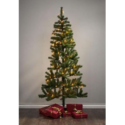 Eglo - LED vanjski božićni lanac 80xLED 10,5m IP44 topla bijela