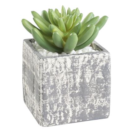 Eglo - Umjetna biljka u tegli za cvijeće 12x7,5 cm sukulent