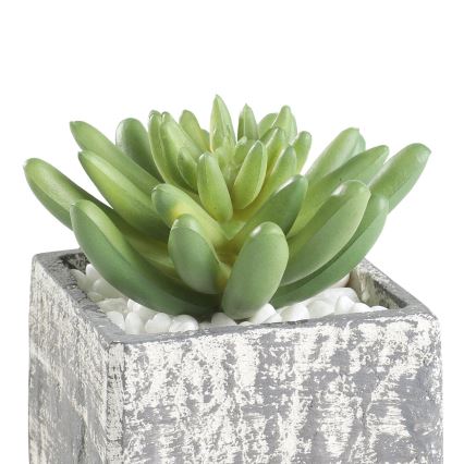 Eglo - Umjetna biljka u tegli za cvijeće 12x7,5 cm sukulent