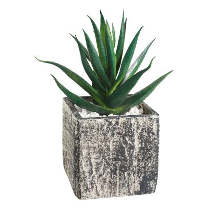Eglo - Umjetna biljka u tegli za cvijeće 13x9,5 cm sukulent
