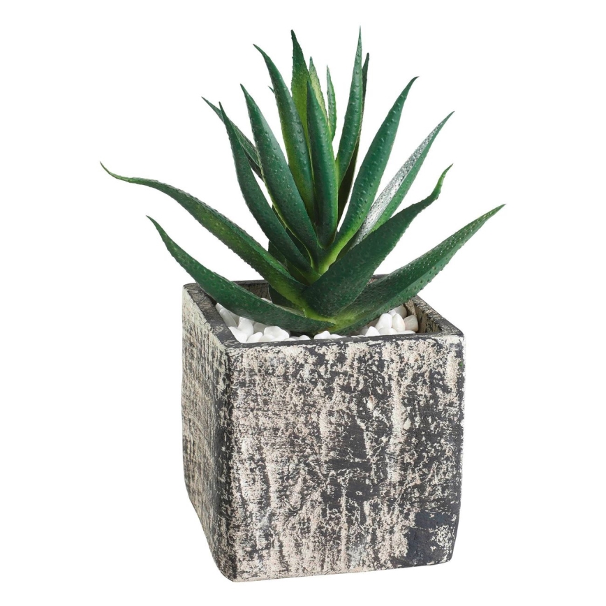 Eglo - Umjetna biljka u tegli za cvijeće 13x9,5 cm sukulent